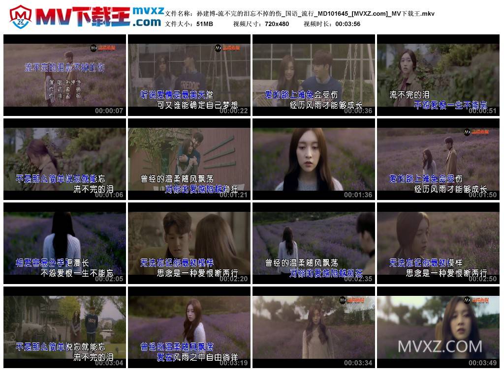 孙建博-流不完的泪忘不掉的伤_国语_流行_MD101645